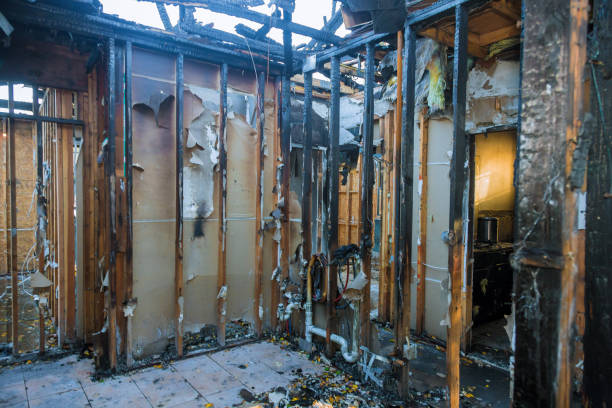 Professional Odor Removal technician working in Jackson, MN