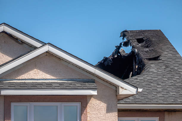 Top rated local Odor Removal specialists in Jackson, MN